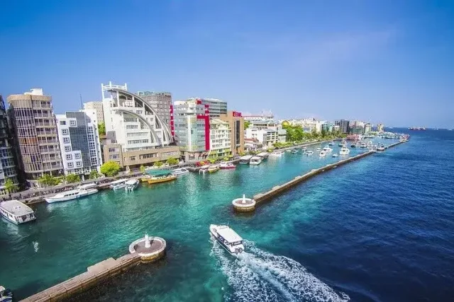 14625650018_fe95e6264a_c