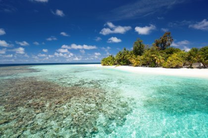 Island-2