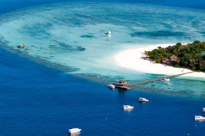 banyan-tree-BEST-CHOICE-cover-for-web-800x320