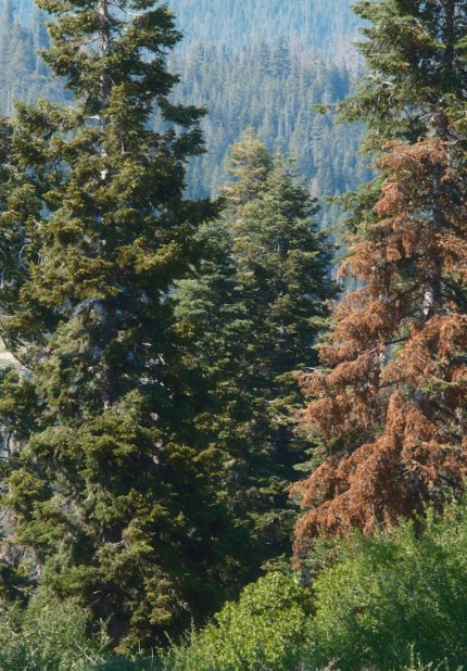 jacob-padilla-g02GryWeRSI-unsplash